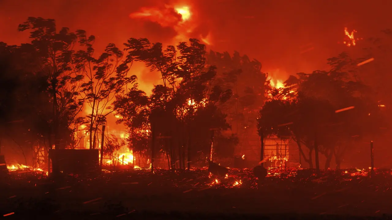 Api Kebakaran Hutan di Yunani