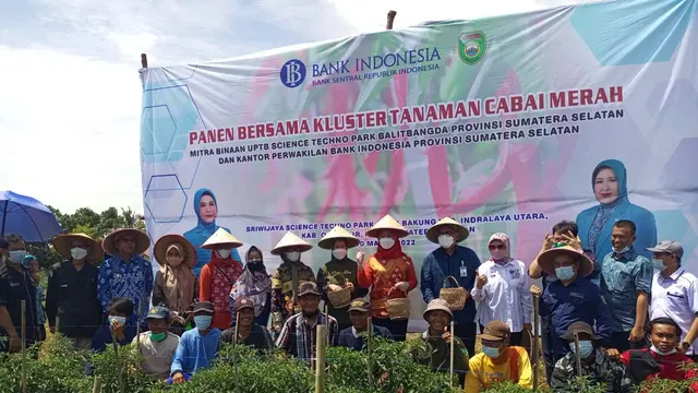 Stabilisasi 3 Komoditas, Bank Indonesia Kembangkan Klaster Pertanian di Sumsel