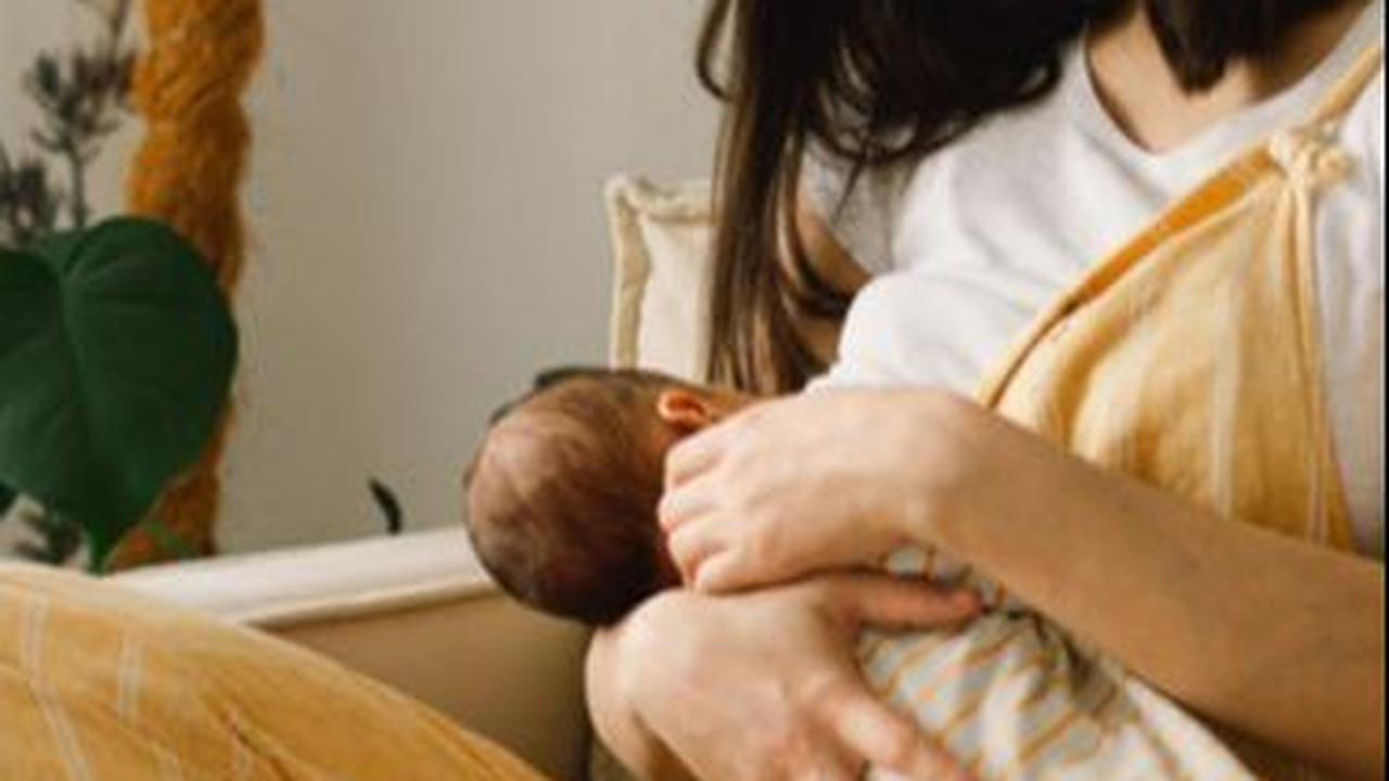 Manfaat Daun Pepaya untuk Ibu Menyusui