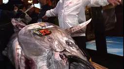 Pengusaha restoran sushi Jepang, Kiyoshi Kimura memamerkan ikan tuna sirip biru seberat 276 kg di restoran utamanya di Tokyo, Minggu (5/1/2020). Tuna raksasa itu dibeli mencapai Rp 24 miliar dan disebut sebagai yang tertinggi kedua dalam rekor lelang ikan di Pasar ikan Toyosu. (Kazuhiro NOGI / AFP)