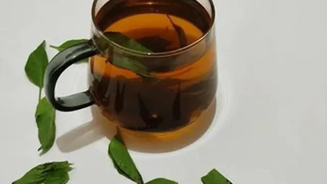 Manfaat Daun Kemangi, Minuman Sederhana untuk Atasi Bau Mulut hingga Nyeri Sendi