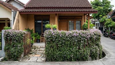7 Tanaman Pagar Berbunga Sepanjang Tahun yang Mudah Dirawat, Cocok untuk Rumah Minimalis