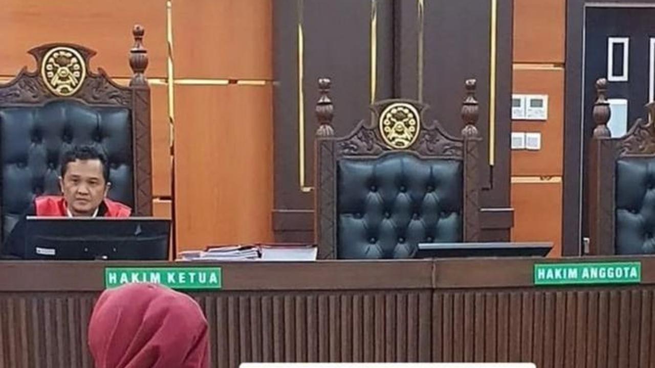 Penampakan Flo, Kucing yang Dicekoki Miras di Kursi Saksi Pengadilan Negeri Padang