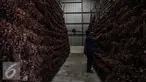 Seorang pekerja mengeringkan bawang merah di Gudang Bulog, Jakarta, Senin (16/5). Sebanyak 23.000 ton bawang merah disiapkan Kementerian Pertanian menjelang bulan puasa dan lebaran. (Liputan6.com/Faizal Fanani)
