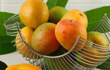 5 Tips Menyimpan Buah Agar Tidak Cepat Busuk dan Tetap Segar Lebih Lama