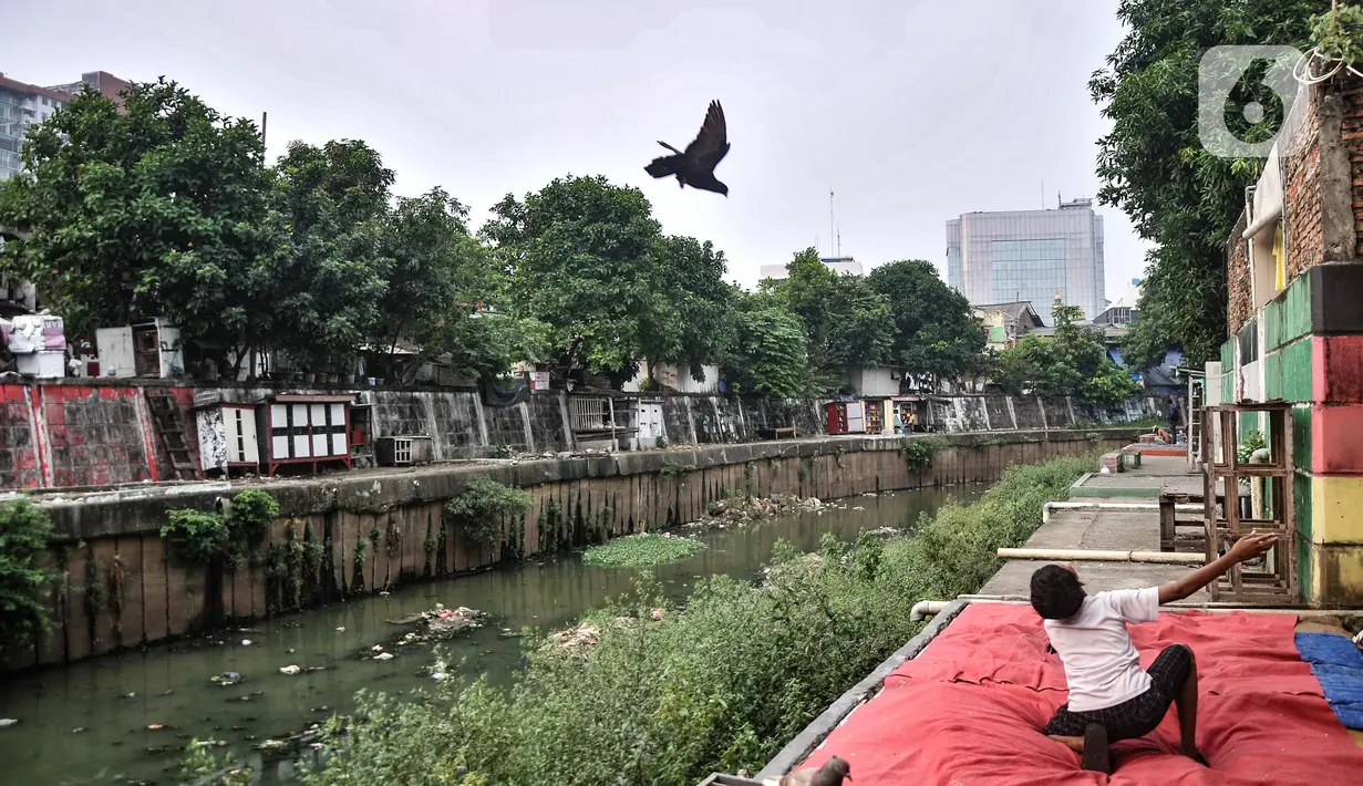 Bermain burung juga menjadi alternatif anak-anak menghibur diri saat jenuh belajar. (merdeka.com/Iqbal S. Nugroho)