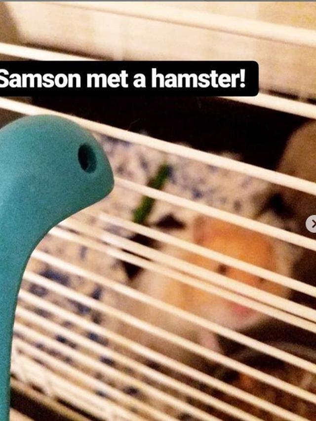 Samson sendok sop