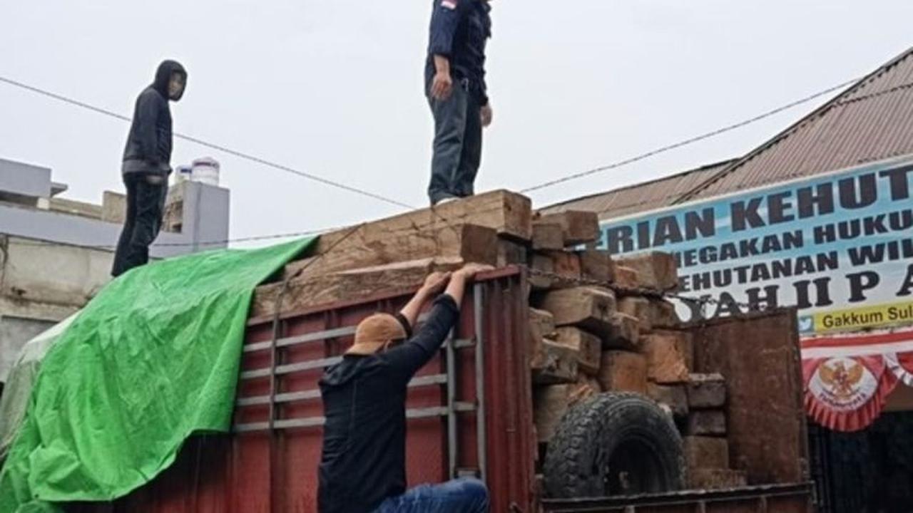 Penindakan Kayu Ilegal Sulteng: Kementerian Kehutanan Siap Sidangkan Pelaku di Donggala