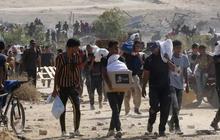 Markas Bulan Sabit Merah Palestina Diserang Israel, Satu Relawan Tewas