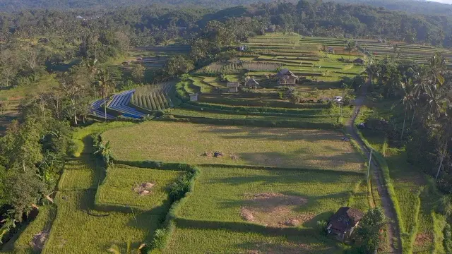 Melihat Lebih Dekat Potensi Desa Angseri di Bali, Desa BRILian dengan Tata Kelola Terbaik