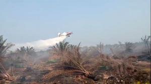 Pesawat Water Bombing Dikerahkan Atasi Kebakaran Gambut di Mesuji