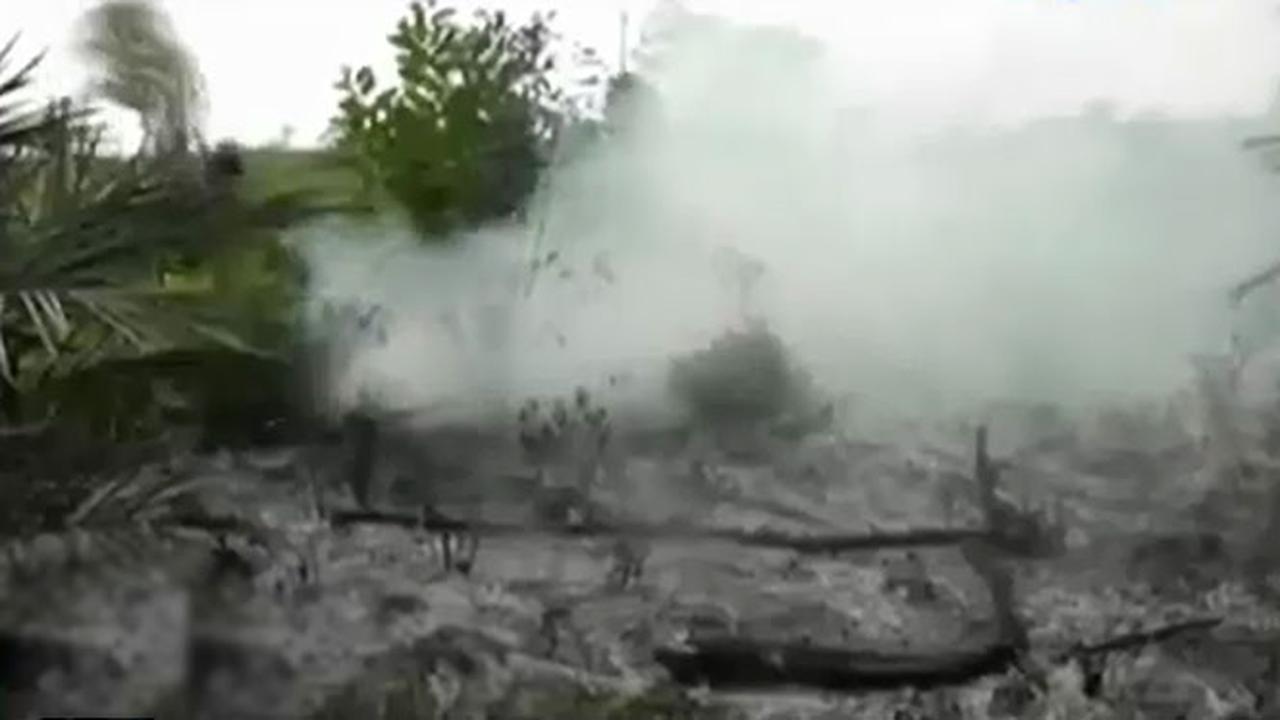 Pembakaran-Lahan-dan-Hutan
