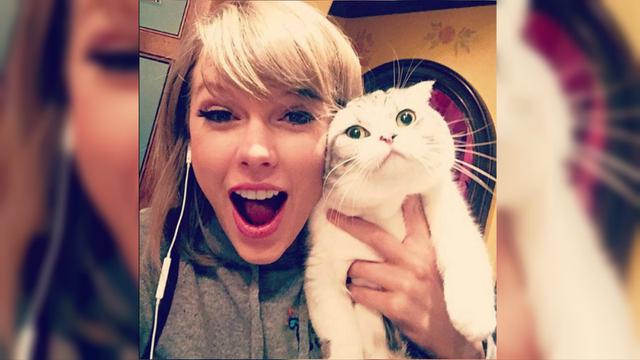 Most Like Foto di Instagram-06