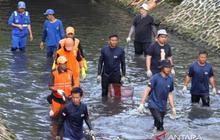 Pj Gubernur Jakarta Teguh Setyabudi Dukung Penuh Penumpasan Ikan Sapu-Sapu Invasif