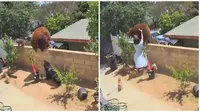 Momen Menegangkan Remaja Selamatkan Anjing Peliharaan dari Beruang Ini Viral