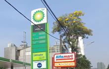 Kompak dengan Pertamina, Harga BBM Dijual SPBU BP-AKR Naik Mulai Hari Ini