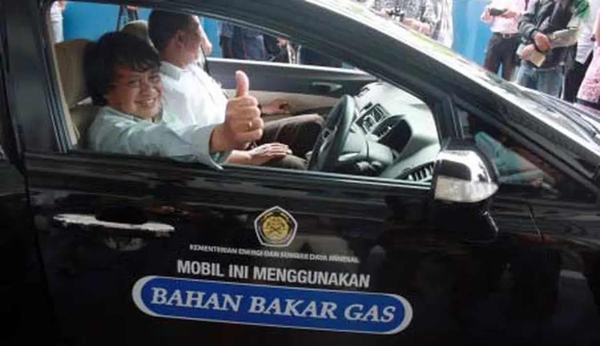 Wakil Menteri Energi dan Sumber Daya Mineral (ESDM) widjajono