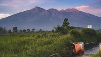Gunung Arjuno (Istimewa)