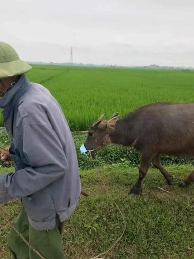 8 Potret Absurd Bapak-Bapak Momong Hewan Peliharaan, Bak Anak Sendiri