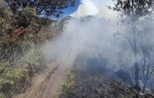 Savana Bromo Kembali Kebakaran, Api Belum Padam Sejak Selasa Malam
