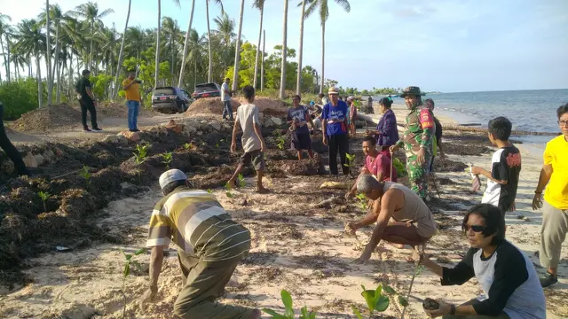 Usung Konsep Pentahelix, KKP Tanam Mangrove di NTT
