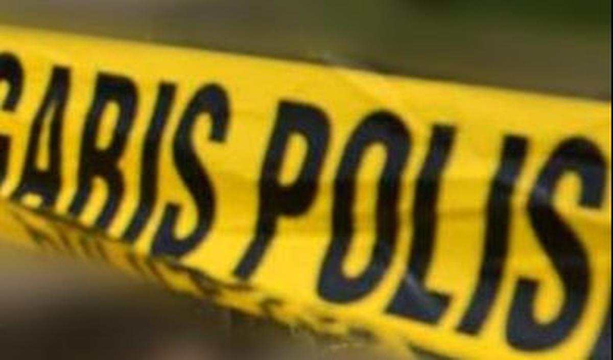 Dia menyebut, dampak dari sengatan tawon Vespa Affinis bisa berupa alergi, bengkak, sesak nafas, hingga gagal jantung.<br>