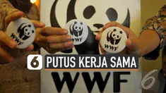 Kementerian Lingkungan Hidup dan Kehutanan (KLHK) mengakhiri perjanjian kerja sama dengan Yayasan World Wide Fund for Nature (WWF) Indonesia. Pemutusan kerja sama ini dilakukan karena adanya ketidaksesuaian antara hasil kerja WWF dengan target yang i...