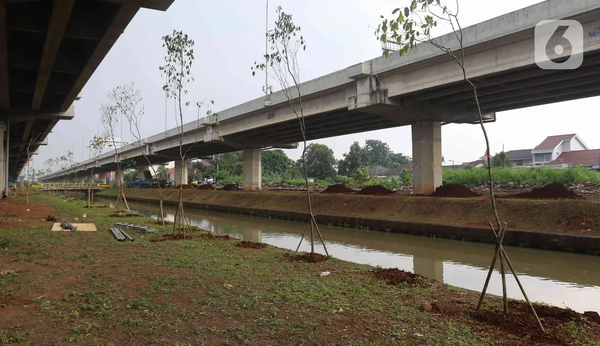 Kondisi lahan yang dibuat menjadi kawasan hijau di bawah kolong Tol Becakayu atau Bekasi-Cawang-Kampung Melayu, Jakarta, Kamis (5/1/2023). Perlu diketahui, progres penghijauan di area kolong Tol Becakayu telah dilakukan sepanjang 2,7 kilometer dari total yang akan dihijaukan 5 kilometer. (Liputan6.com/Herman Zakharia)