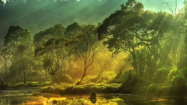 8 Tempat Tujuan Ekowisata Terbaik di Dunia