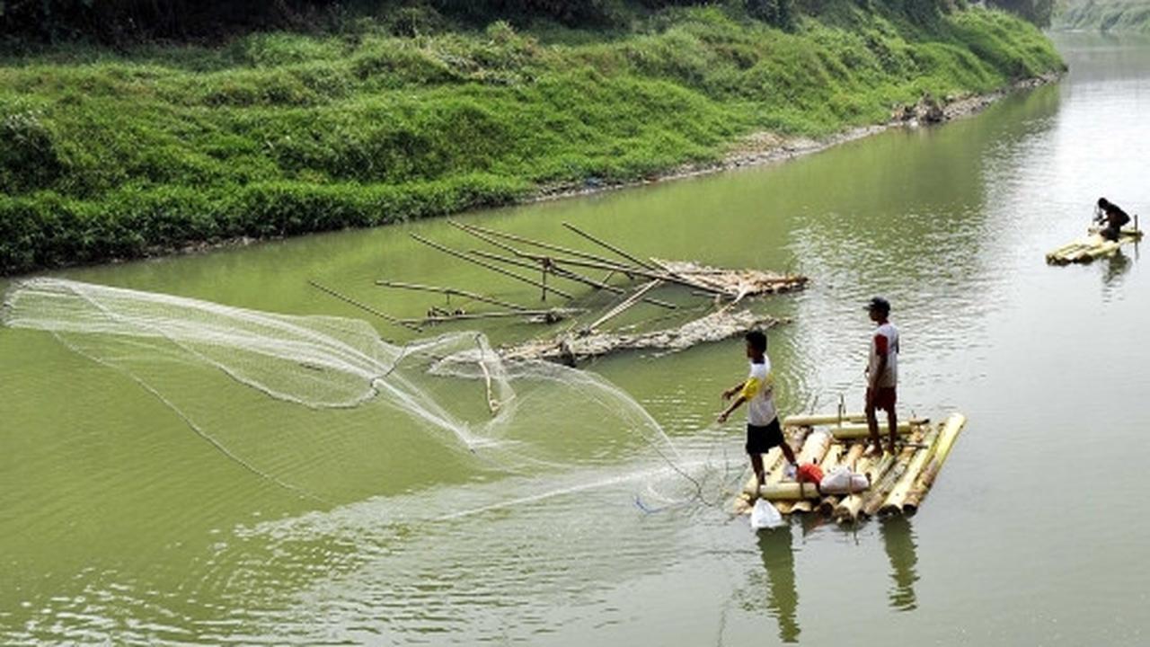 Berkah kemarau bagi pencari ikan di Sungai Cisadane