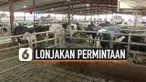 lonjakan permintaan