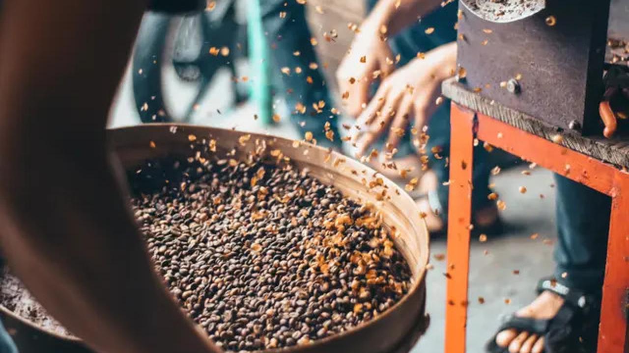 Kopi Dekafein Kian Diminati, Benarkah Aman untuk Kesehatan Peminumnya?