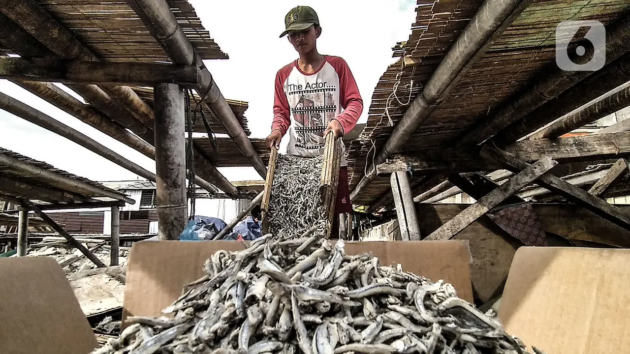 FOTO: Nelayan Ikan Asin Terdampak Pandemi dan Musim Penghujan