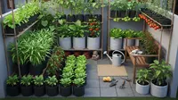 7 Desain Kebun Sayur di Rumah Type 30, Sulap Lahan Sempit jadi Area Produktif