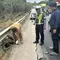Kecelakaan Maut di Lampung, Pengendara Tewas dan Motor Terbakar