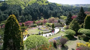 The Garden of Morning Calm