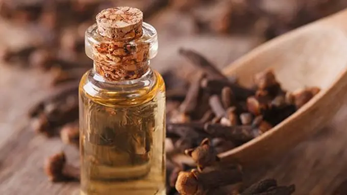 Minyak cengkeh/copyright Shutterstock.com
