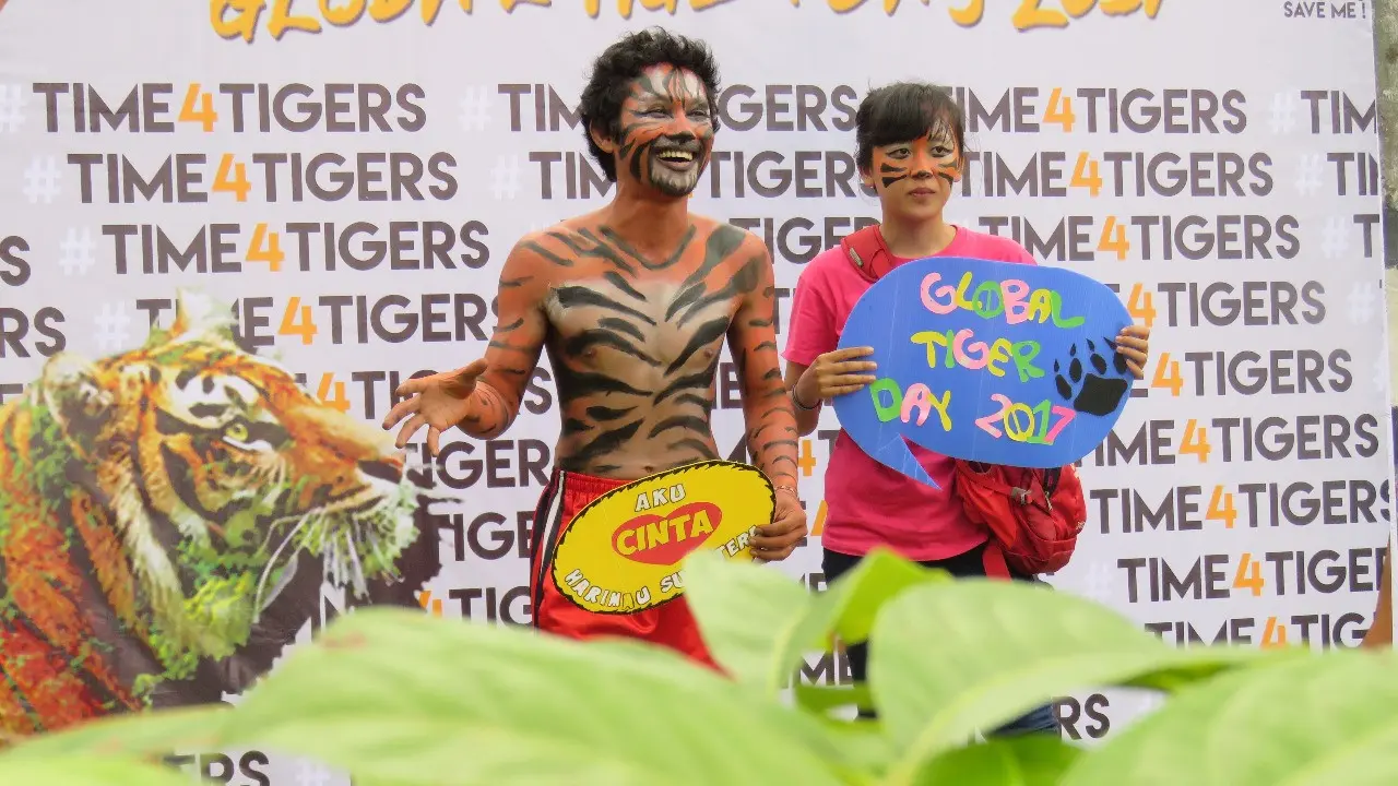 Harimau Sumatera Nyaris Susul Nasib Harimau Jawa dan Harimau Bali