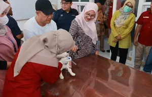 Unair dan Pemkab Banyuwangi Buka Layanan Bedah Hewan, Tangani Tumor hingga Patah Tulang