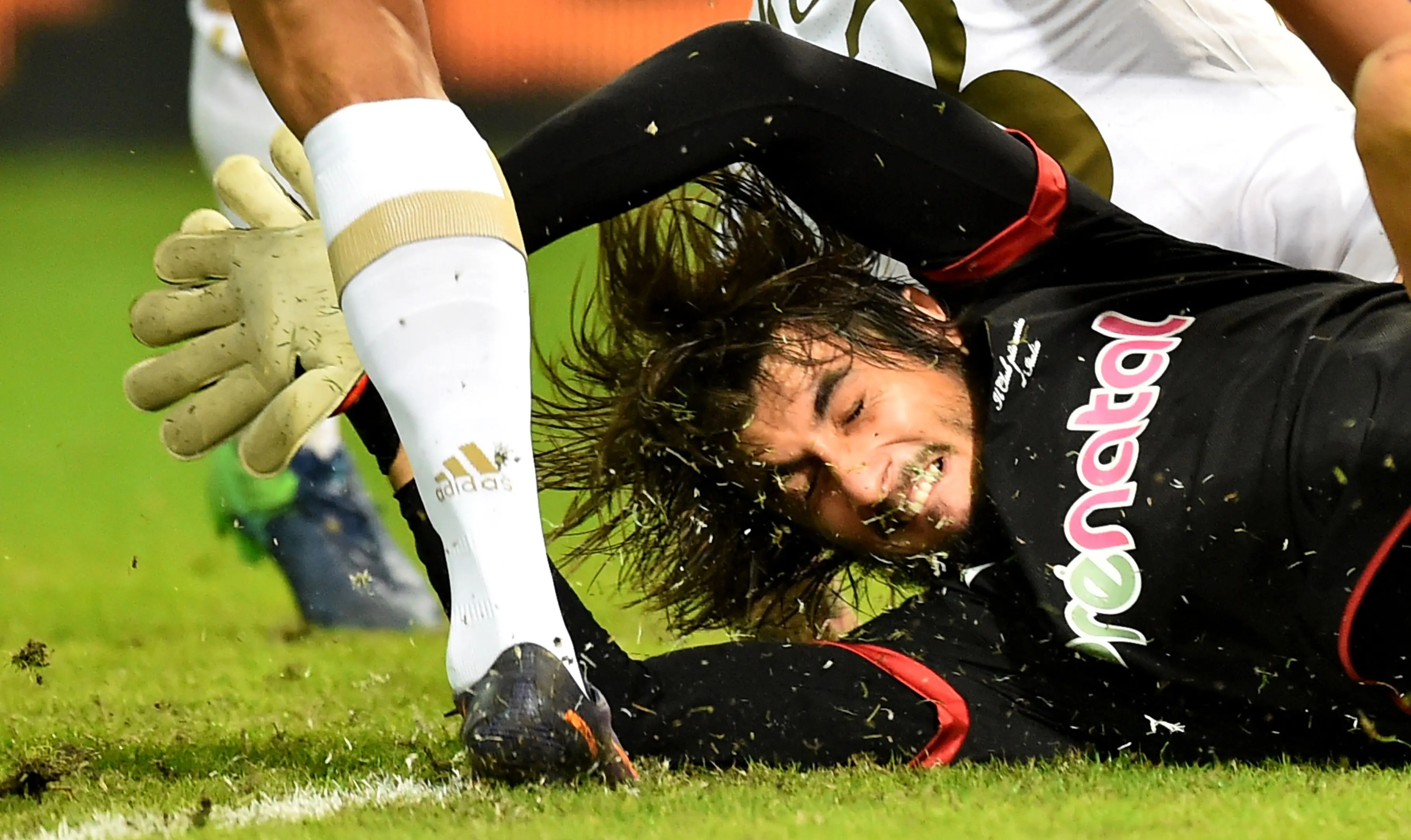 Aksi kiper Genoa, Mattia Perin saat menghadang sepakan pemain AC Milan, Carlos Bacca pada lanjutan Serie A Italia di Stadio Luigi Ferraris, Genoa, Rabu (25/10/2016) dini hari WIB.  (AFP/ Giuseppe Cacace)