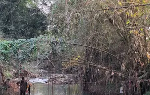 Usai Viral dan Disorot Dedi Mulyadi, Sungai di Sukabumi Diinvestigasi