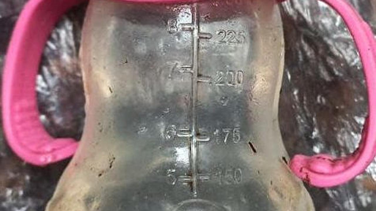 Sampai akhirnya seekor anjing pelacak menemukan botol susu di dekat TKP jatuhnya pesawat.