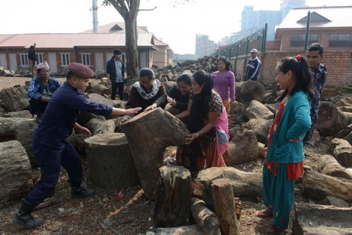 Krisis BBM, pemerintah Nepal jual kayu bakar
