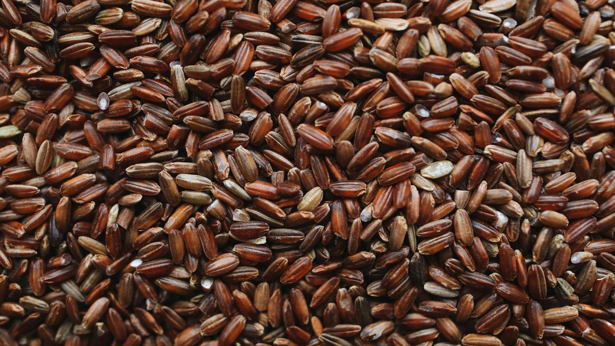 Kelebihan Nasi Merah Dibanding Nasi Putih yang Bukan Sekadar Tren