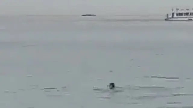 Pria Rusia diserang Hiu