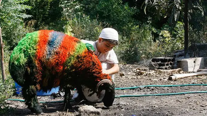 Copyright aljazeera.com/Mohammed Zaatari/AP