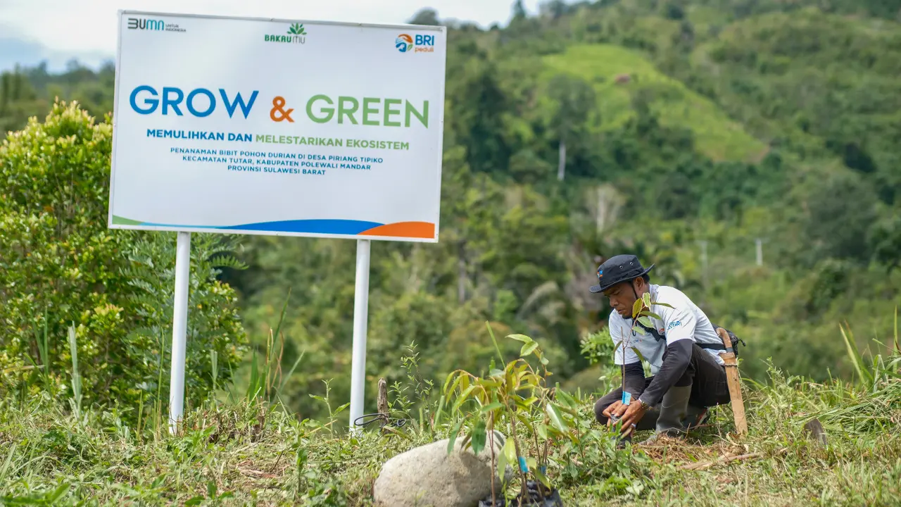 BRI Grow & Green Ubah Nasib Dua Kelompok Tani di Sulawesi Selatan, Jadikan Lahan Kritis Lebih Produktif