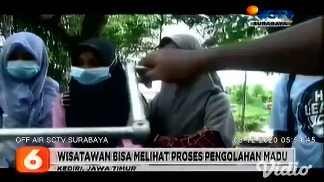 VIDEO: Berwisata Sambil Belajar Budi Daya Lebah Madu di Desa Bringin Kediri