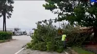 Segmen 7: Badai Matthew Terjang Florida hingga Es Krim Talas