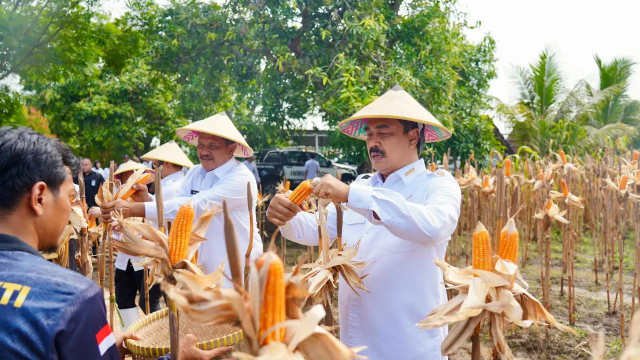 Setahun Kerja Nyata, Kemenimipas Torehkan Capaian Emas dalam Mendukung Ketahanan Pangan Nasional